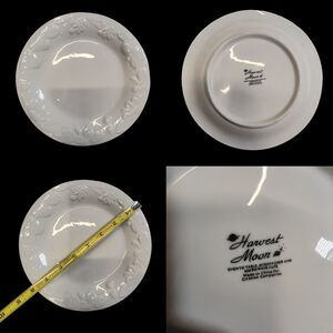 Vintage Beauty Harvest Moon by Citation 8" Dinner Plate Embossed Fruit & Flowers
